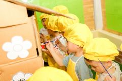 Z3885311614403 Ab521ab079fae2346a9207cd8d76a5b8