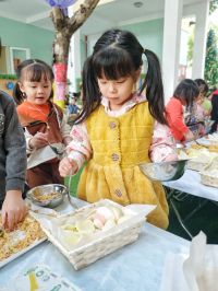 Z3964802323000 A5b072d0f442904ed24175faa116e380