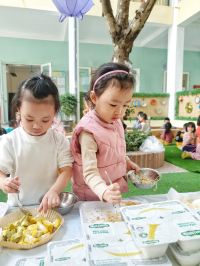 Z3964802423208 D3f5fac368419e5c1b77cd75af801a8d