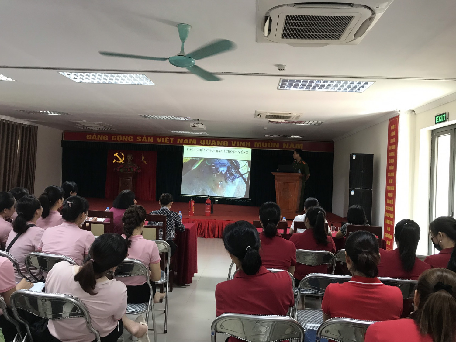 z4649614814917 8fb0aecefc48d8b0c3e8ed81e7212a27