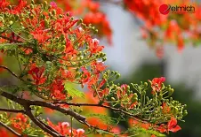 Kế hoạch giáo dục tháng 5/2025