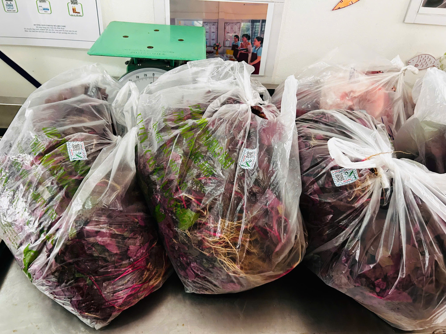 z7680302208824 e8862f26a328c6b15c109ad0b03b8c9a