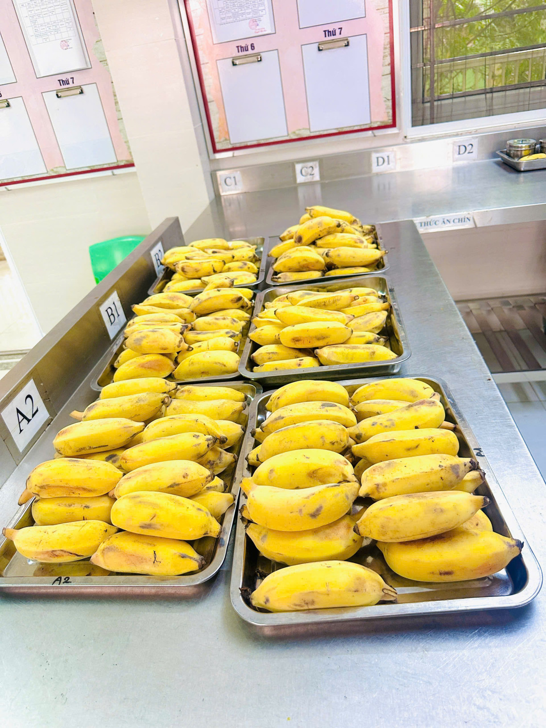 z7682922668604 e30c51927e75f005b902dbf4260697b4